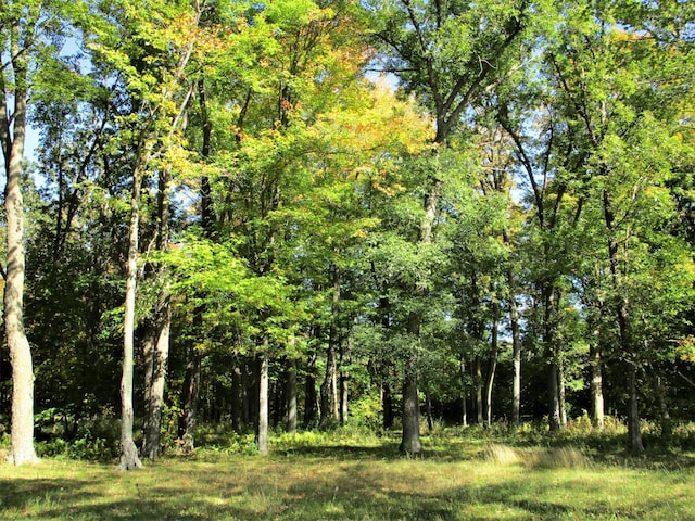 view of landscape