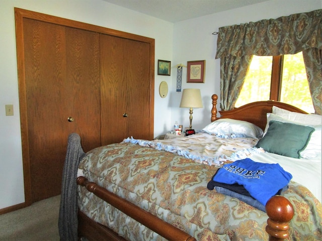 bedroom featuring carpet and a closet