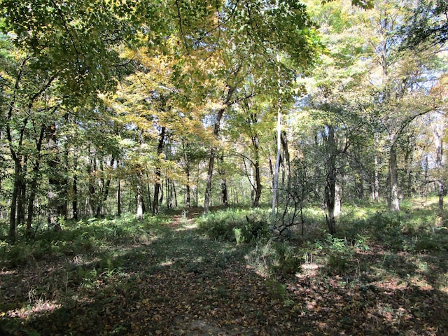 view of landscape