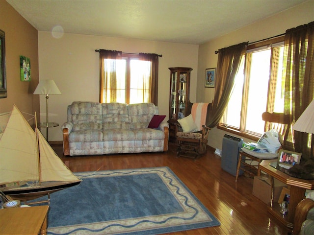 living room with dark hardwood / wood-style flooring and plenty of natural light