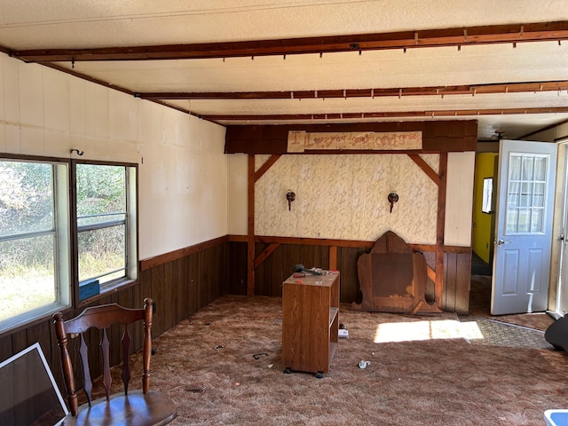 interior space with wooden walls