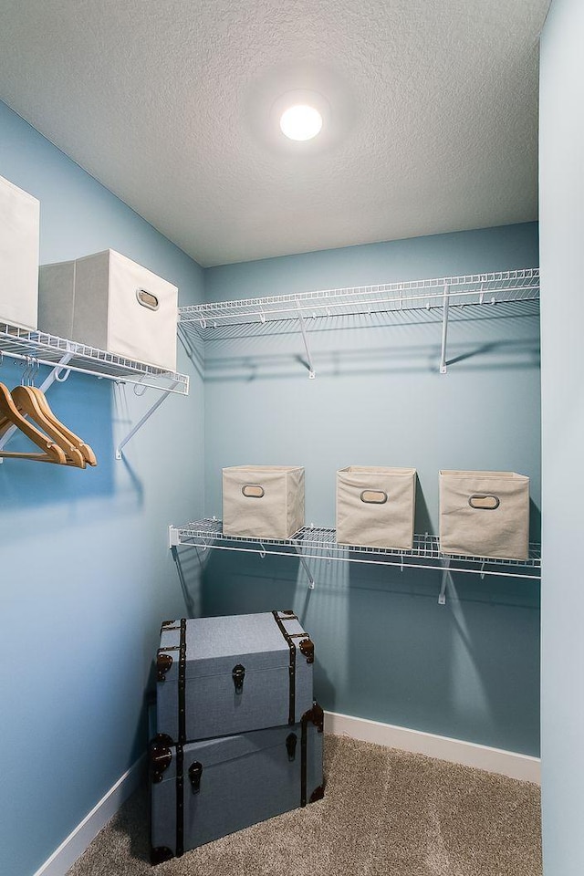 walk in closet featuring carpet flooring