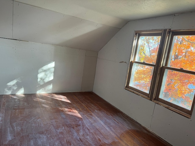 bonus room featuring lofted ceiling and wood-type flooring