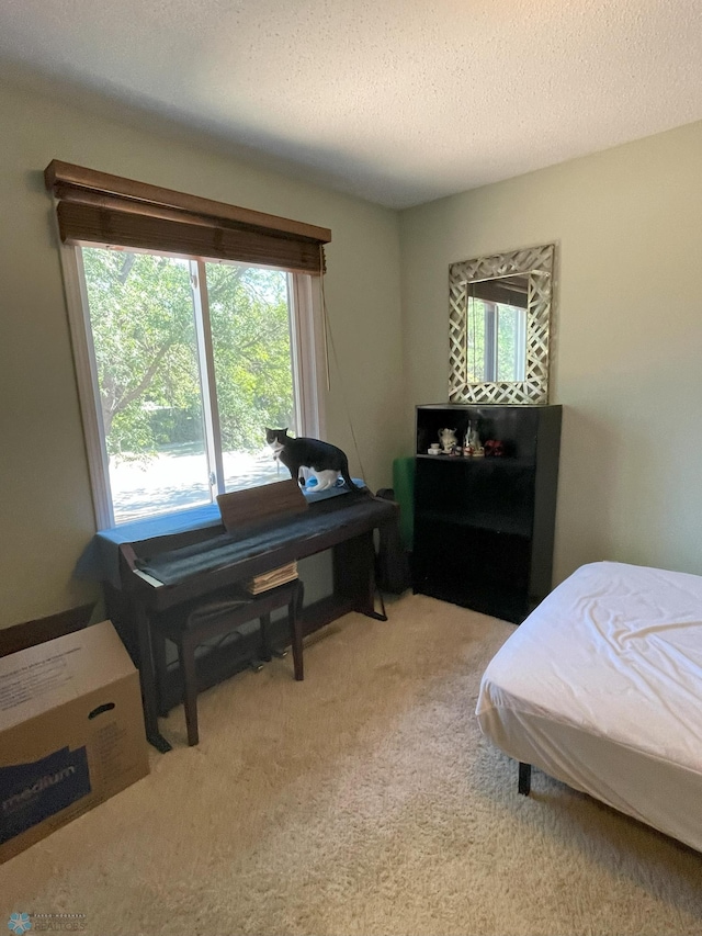 bedroom featuring light carpet and a textured ceiling