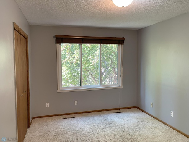 carpeted spare room with a textured ceiling and a wealth of natural light