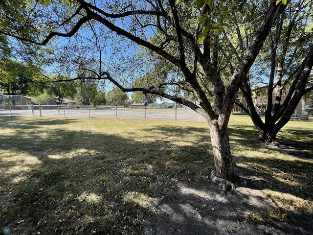 view of yard featuring a rural view