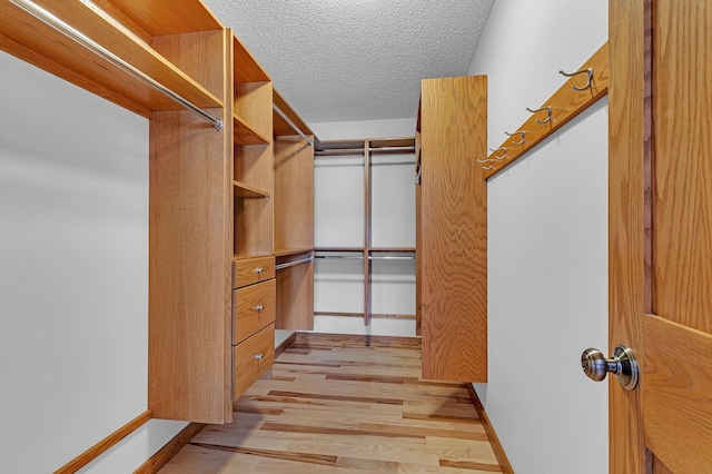 2008 11th St N, Sartell, MN 56377 - spacious closet featuring light wood-style flooring