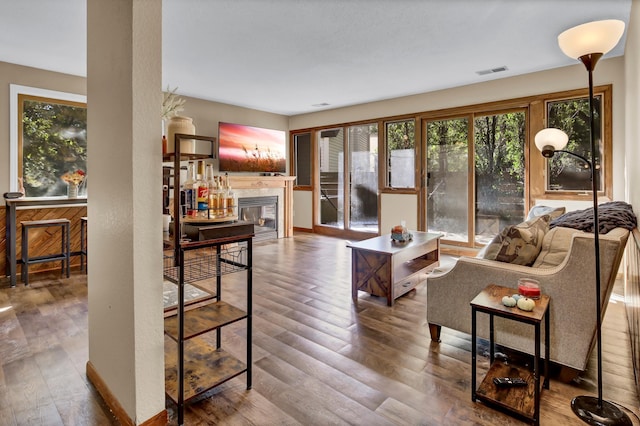 living room featuring wood-type flooring