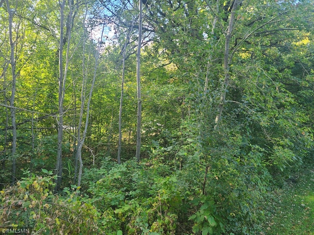 65164 365th St, Watkins, MN 55389 - view of landscape featuring a view of trees