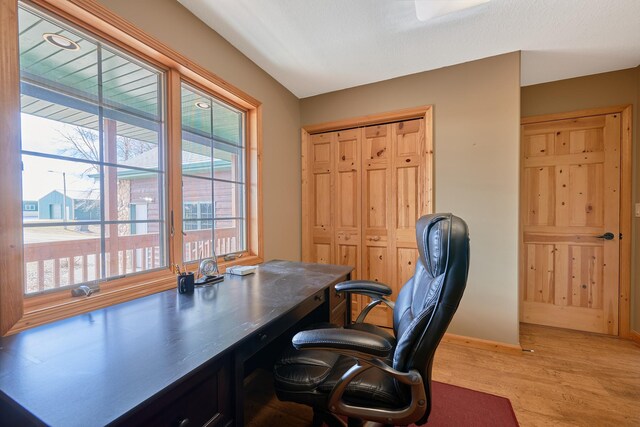 office space featuring light wood-type flooring and a wealth of natural light