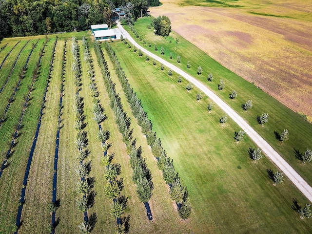 drone / aerial view with a rural view