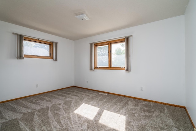 spare room with carpet flooring and a wealth of natural light