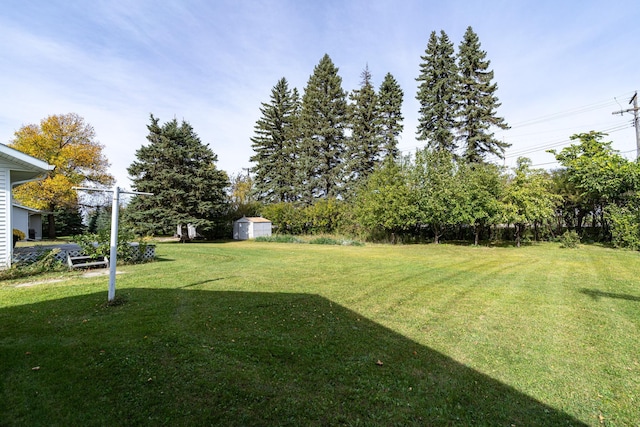 view of yard featuring a storage unit