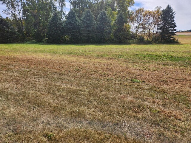 LOT1 Edgewater Rd, Garden City Twp, MN 56055 - photo 7