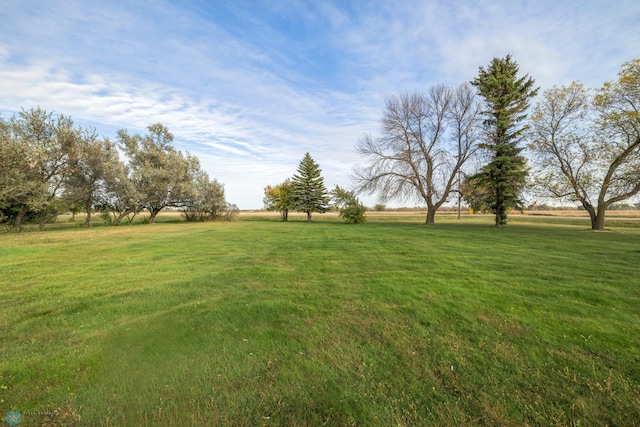 view of yard with a rural view