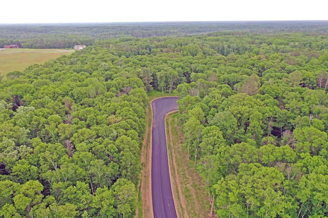LOT11, BLK1 Smiley Way, Pequot Lakes, MN 56472
