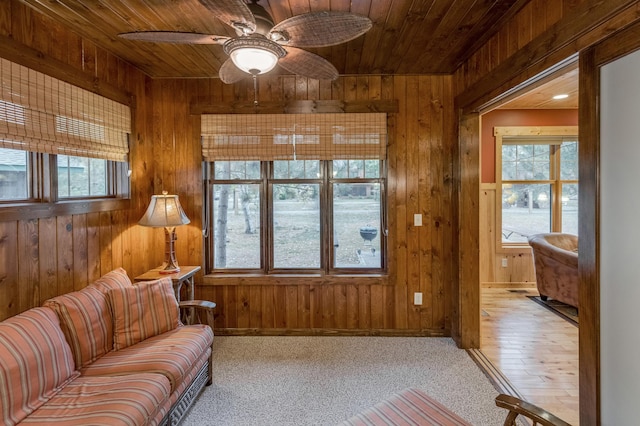 interior space featuring wooden walls and a wealth of natural light