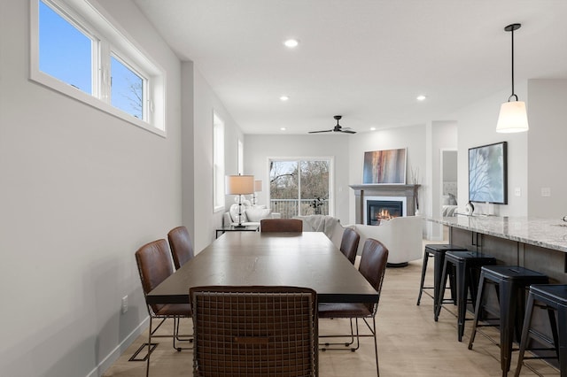 dining room featuring ceiling fan and light hardwood / wood-style flooring