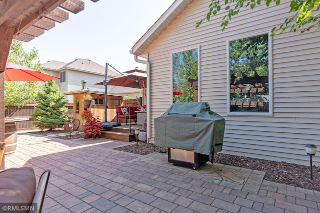 view of patio / terrace featuring area for grilling