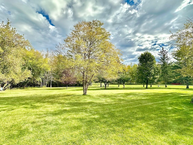 view of property's community featuring a lawn