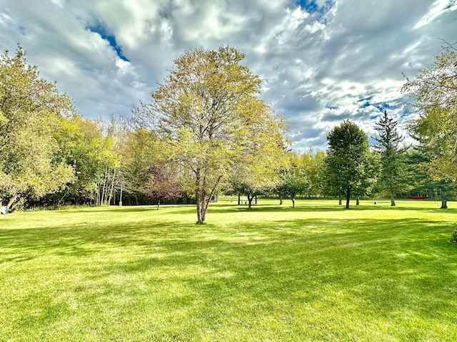 312 Oakdale Ct NE, Warroad, MN 56763 - view of grassy yard featuring view of wooded area