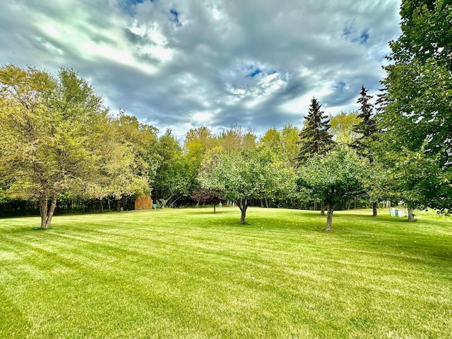 312 Oakdale Ct NE, Warroad, MN 56763 - view of grassy yard