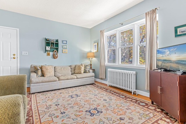 living room with light hardwood / wood-style flooring and radiator heating unit