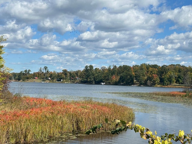 view of water feature