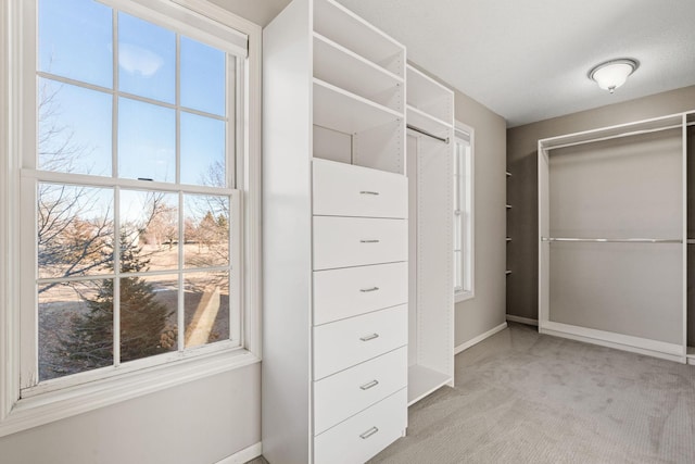 walk in closet with light carpet