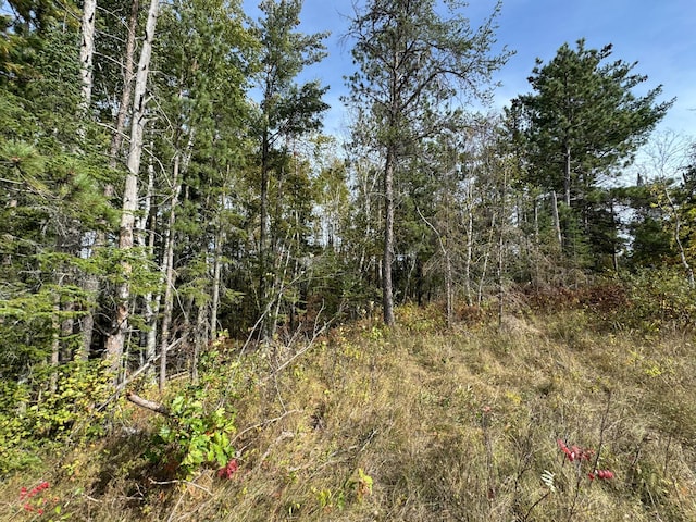 Listing photo 3 for TBD 243rd Ave, Shevlin MN 56676