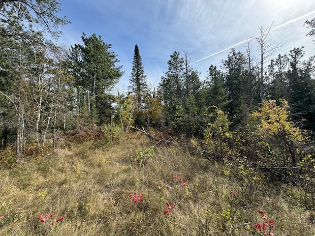 TBD 243rd Ave, Shevlin, MN 56676 - photo 4