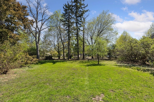view of grassy yard