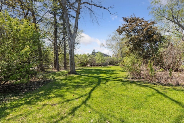 view of green lawn