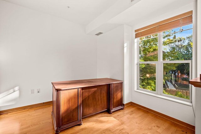 interior space with light hardwood / wood-style floors and a healthy amount of sunlight