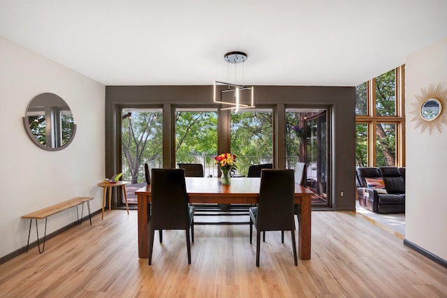 dining area with light hardwood / wood-style flooring