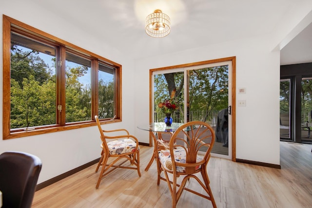 dining space with light hardwood / wood-style flooring and a wealth of natural light