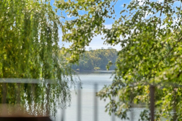 view of water feature