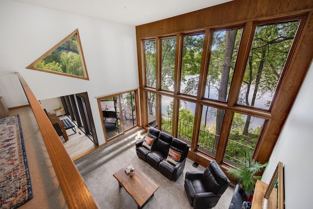 living room featuring a high ceiling