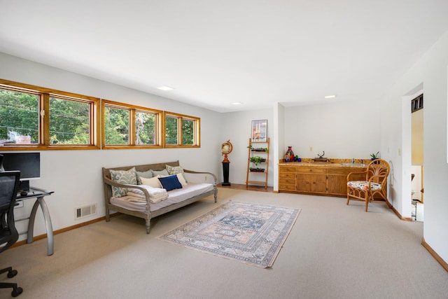 living room with carpet floors and sink