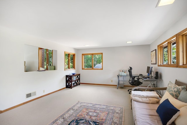 living room with carpet flooring