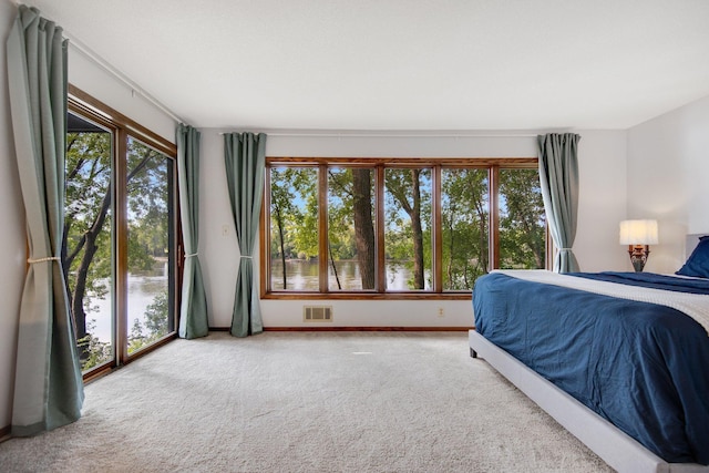 bedroom featuring carpet and a water view