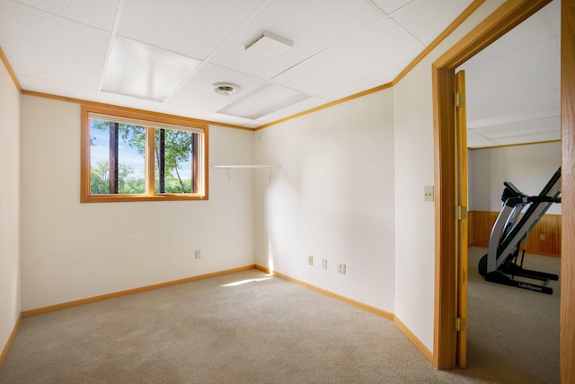 carpeted spare room featuring a drop ceiling and crown molding