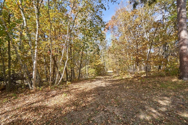 36152 Gale Ln, Crosslake, MN 56442 - view of local wilderness featuring a forest view