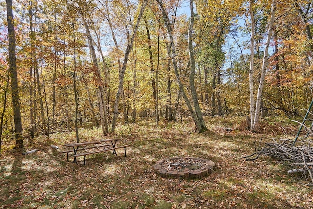 36152 Gale Ln, Crosslake, MN 56442 - view of yard with a fire pit