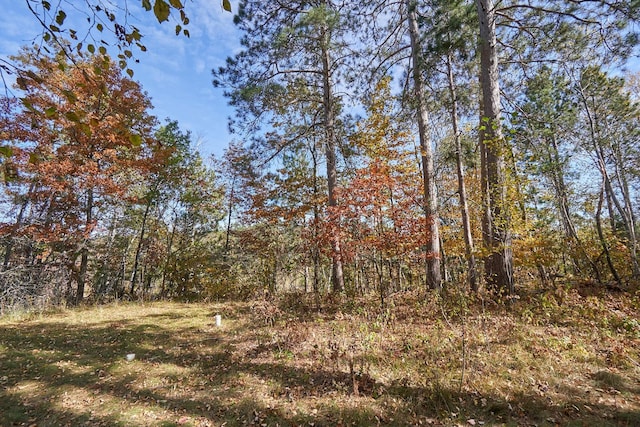 36152 Gale Ln, Crosslake, MN 56442 - view of landscape