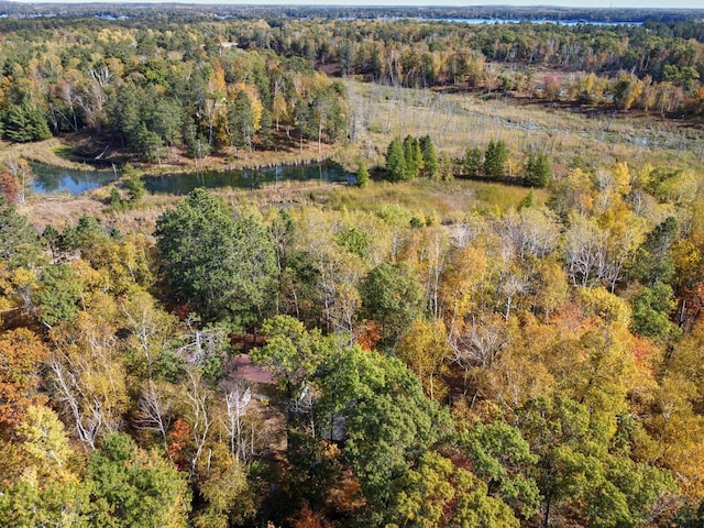 36152 Gale Ln, Crosslake, MN 56442 - bird's eye view with a water view and a wooded view