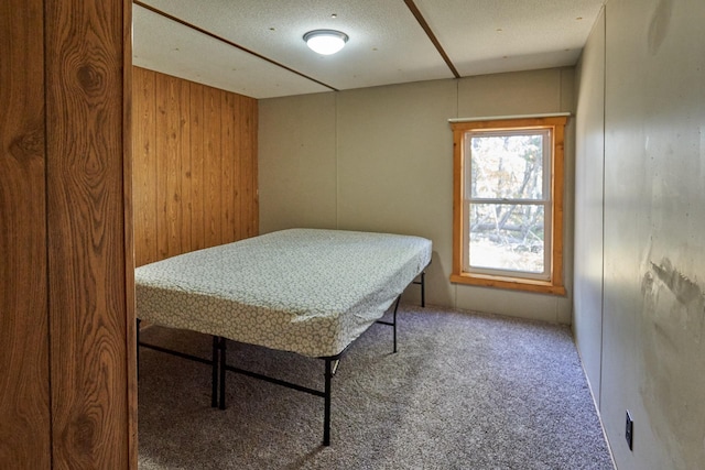 36152 Gale Ln, Crosslake, MN 56442 - bedroom with carpet flooring and wood walls