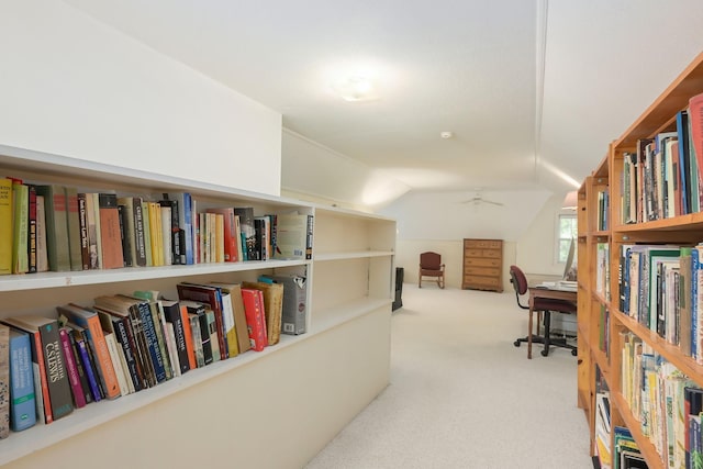 5025 16th Ave S, Minneapolis, MN 55417 - carpeted home office featuring vaulted ceiling