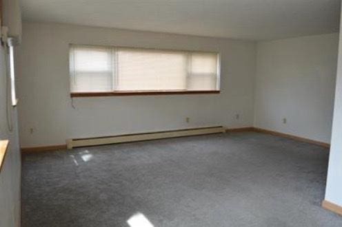 carpeted spare room featuring a healthy amount of sunlight and baseboard heating