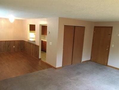 spare room with light colored carpet and wood walls